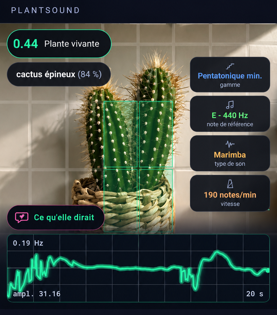 L'écran de Plantsound sur un cactus : reconnu à 84 %, pentatonique mineure, marimba, 190 notes par minute